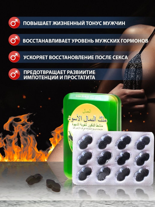 Черный сильный муравей